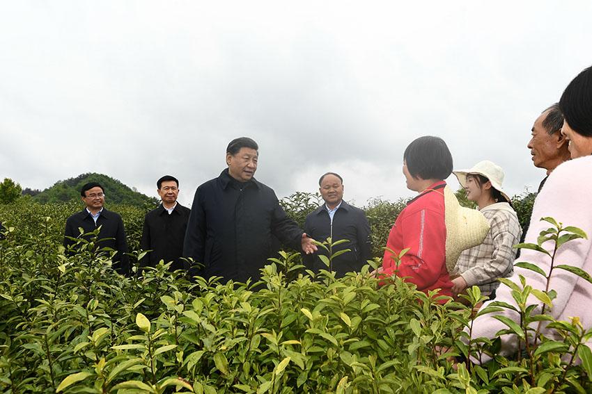 人生就是博-尊龙凯时中国官网